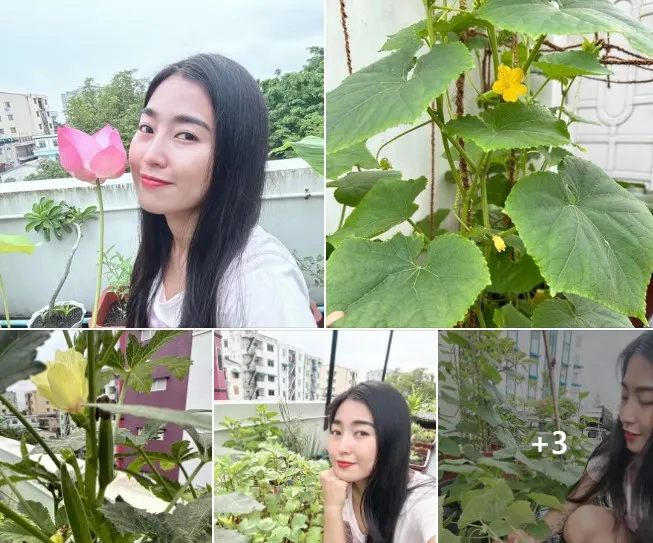 A farm worth 25,000,000 yuan on the roof of Popo's house