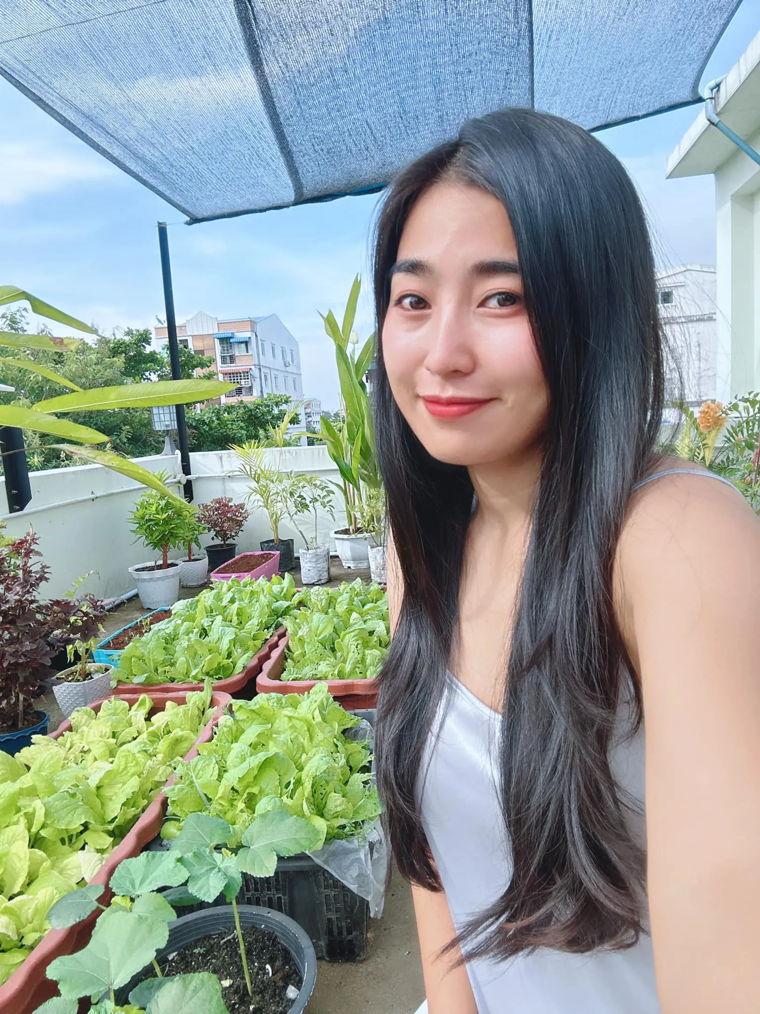 A farm worth 25,000,000 yuan on the roof of Popo's house