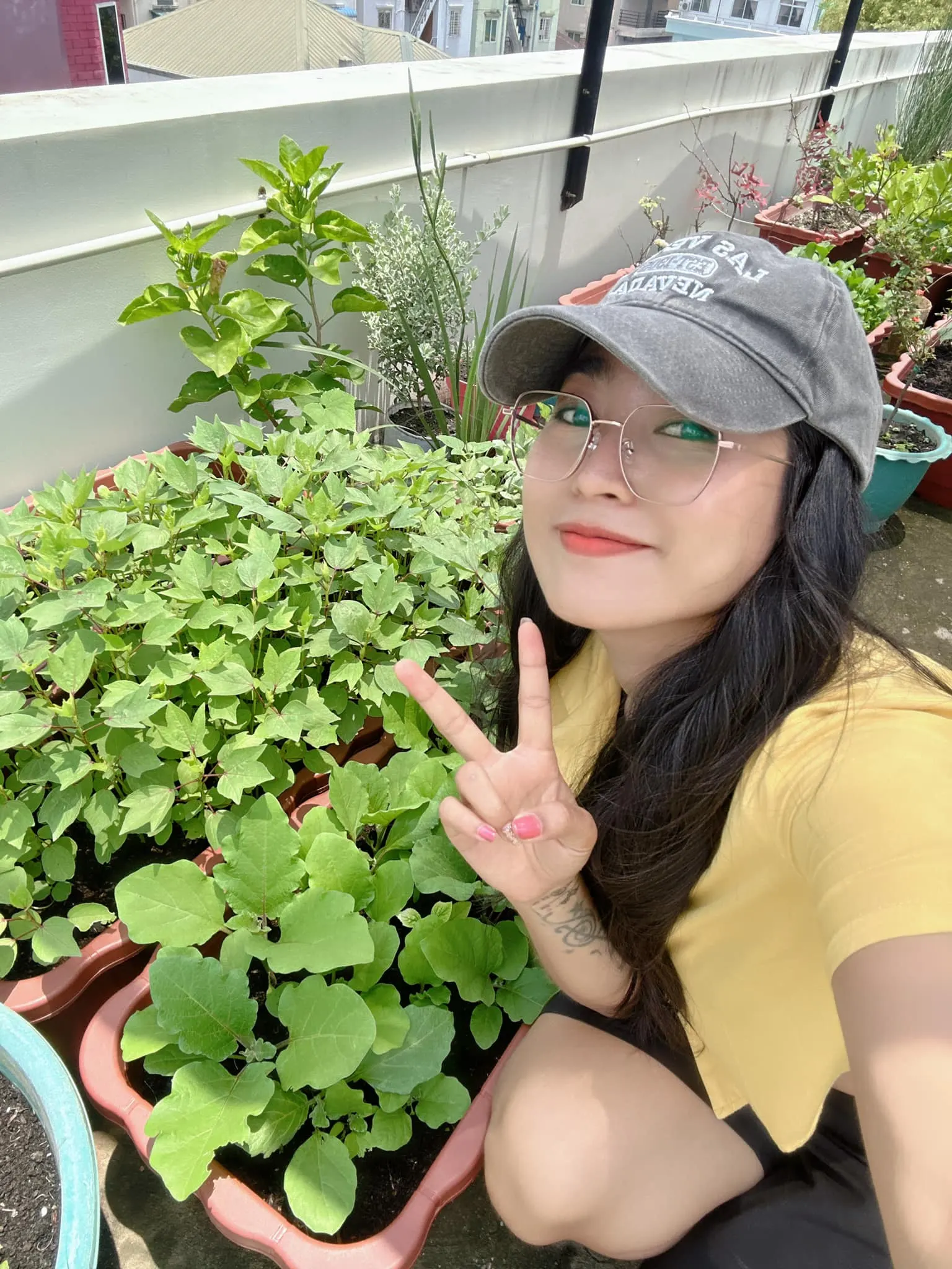 A farm worth 25,000,000 yuan on the roof of Popo's house