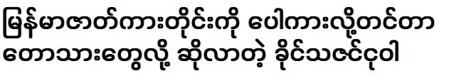 Khaing Thazin Nguwa claims that every Myanmar film is a fake movie, is called Tothyan