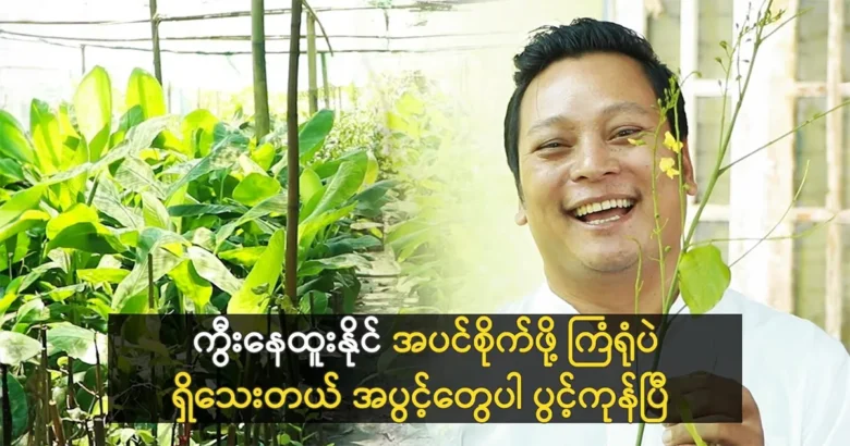 Nay Htoo Naing came to tell the fans to plant trees <img src="https://media.shwemovies.com/wp-content/uploads/2024/05/4-05-06-233703-2-jpg.webp" alt="Nay Htoo Naing came to tell the fans to plant trees">