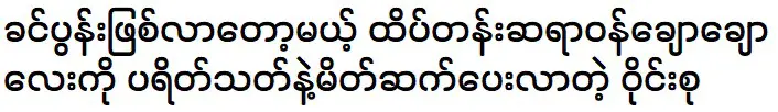 Wyne Su Khine Thein said that she is happy with her husband