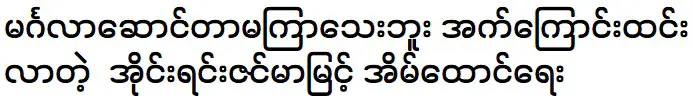 Irene Zin Mar Myint said that Kaung Kaung and her husband are meeting