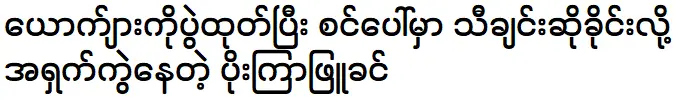 Poe Kyae Phyu Khin and her husband are singing at the village