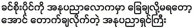 Soe Myat Thuzar and Khin Soe Paing are meeting