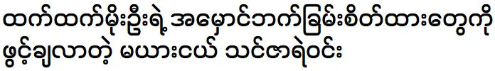 Thin Zar Yell Win is explaining about Htet Htet Moe Oo