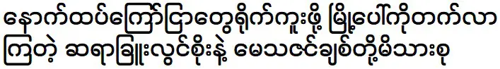 The family of teachers Chu Lwin Soe and May Thazin Chit are going to the town