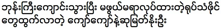 Kyaw Kyaw and Su Myat Noe Oo informed their fans about their visit to the temple and their donations