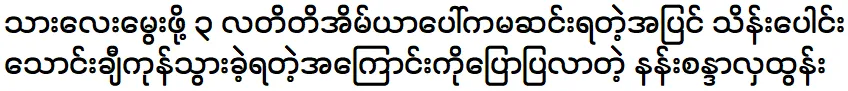Actress Nan Sandar Hla Htun announced to her fans that she is expecting a son