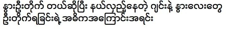 การสู้วัวกระทิงเป็นเหตุผลหลักที่ทำให้ขิงและลูกวัวเดินทางต่อสู้กัน